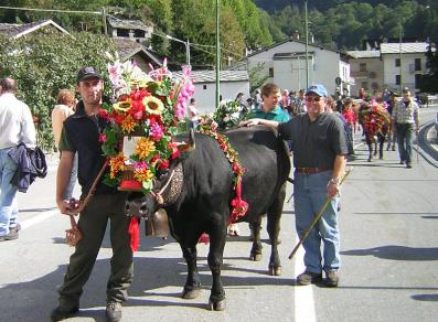 Desfile de las vacas
