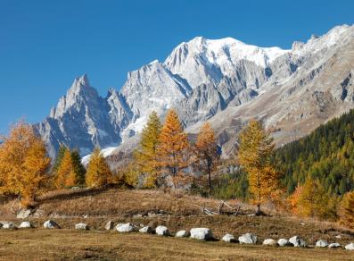 Laub im Val Ferret - Mont-Blanc-Gebirge