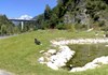 Parco Saumont e Grand Combin - Aosta