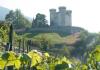 Los viñedos y el castillo de Aymavilles