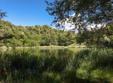 Lake Villa nature reserve - Challand-Saint-Victor