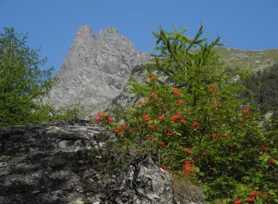 Il Mont Avic - Champdepraz