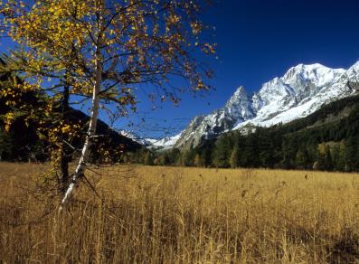 Val Ferret in autumn