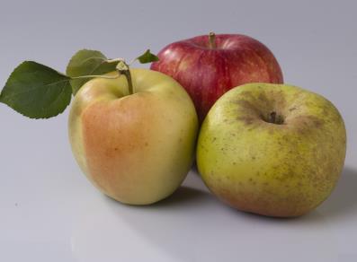 Apples from the Aosta Valley (renetta, golden delicious and starking)