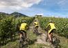 Mountain biking among the vineyards