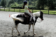 Horse riding 