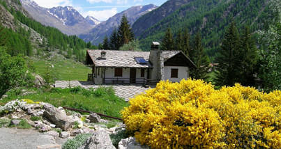 Alpine botanische Gärten