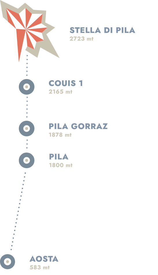 The link opens in another tab