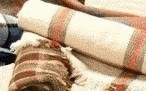 Draps