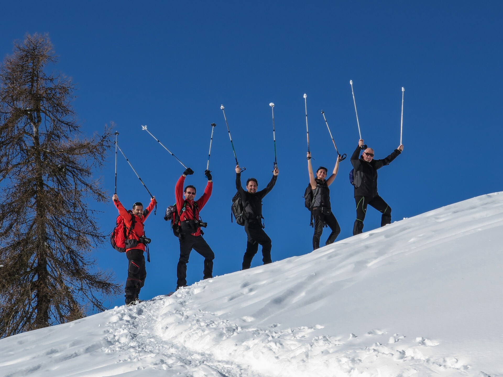 Guided snowshoe walks