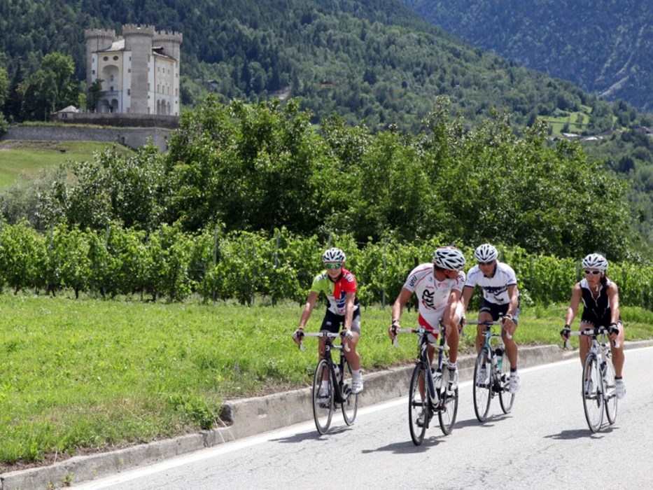 Cyclisme sur route