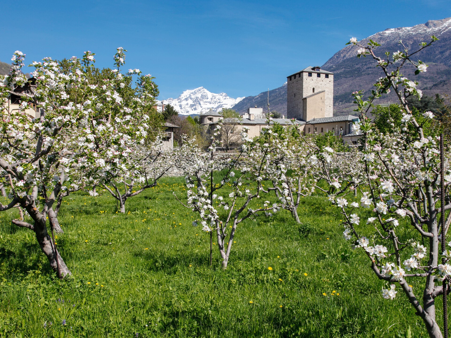Valle d'Aosta