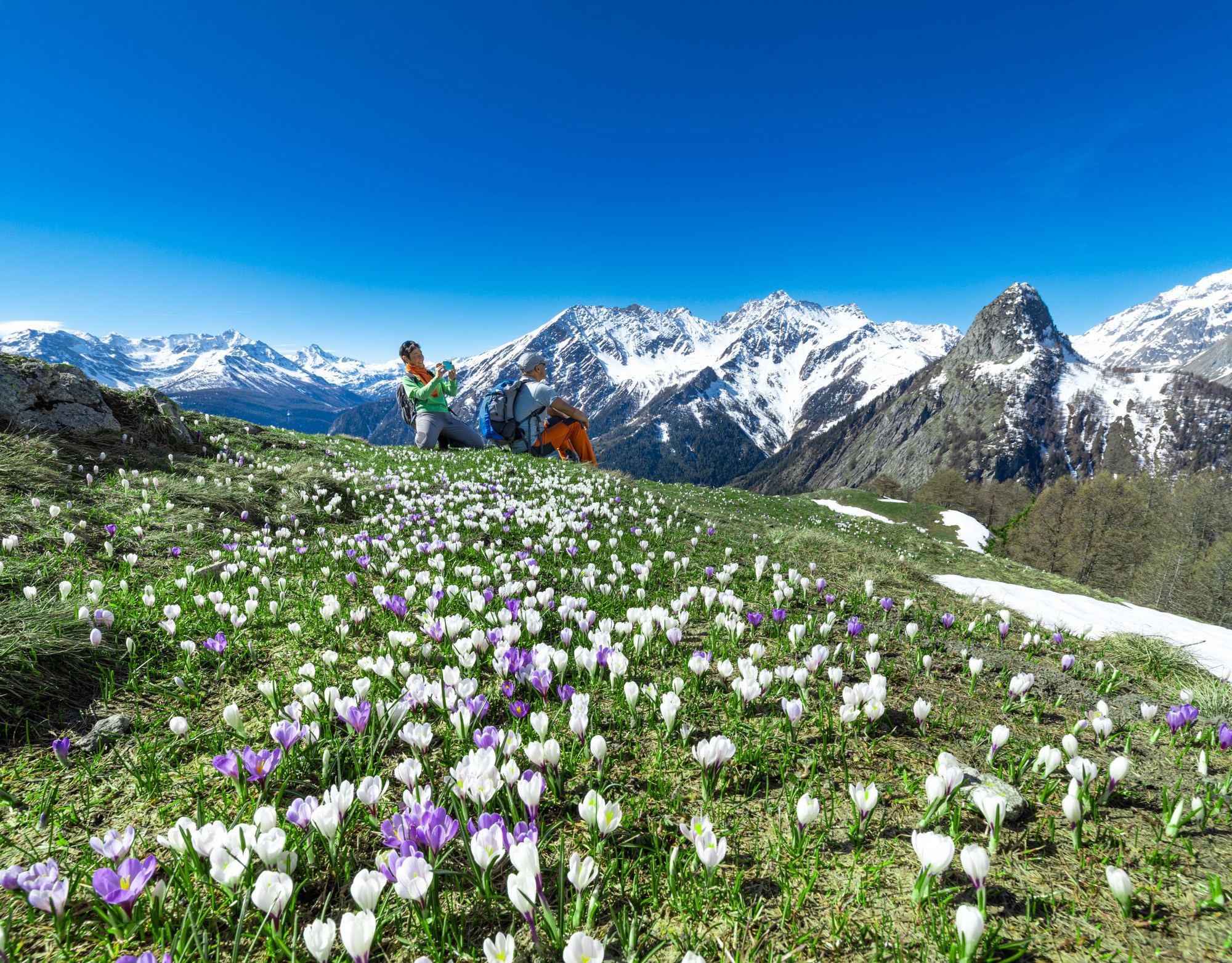 Valle d'Aosta