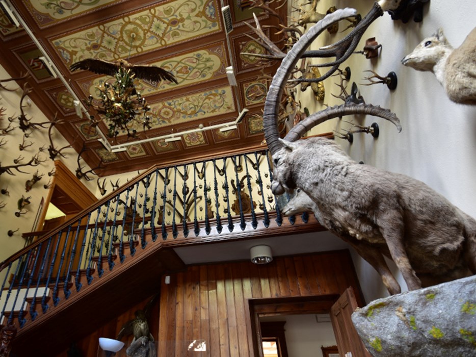 Museo Beck-Peccoz