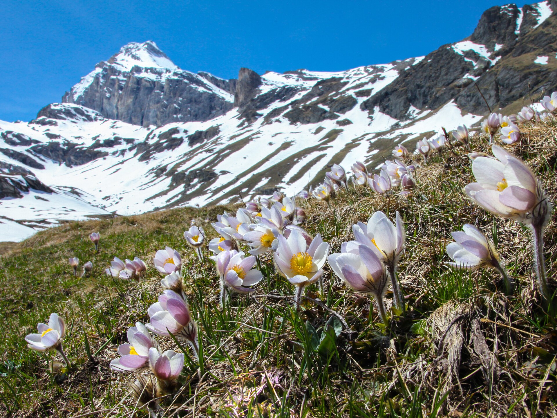 Natura 2000