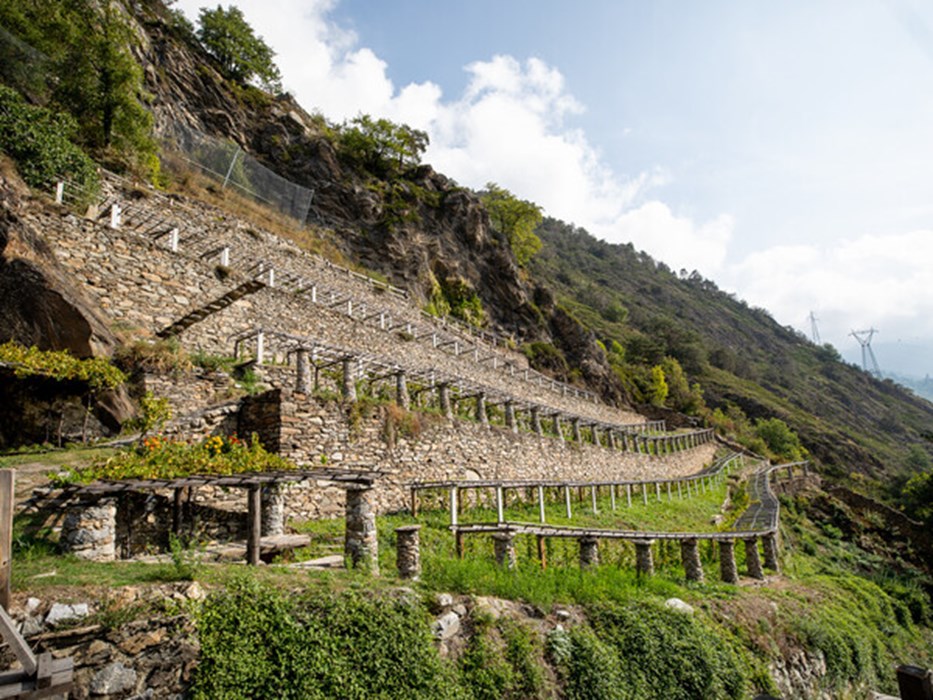 Vins et saveurs haut de gamme