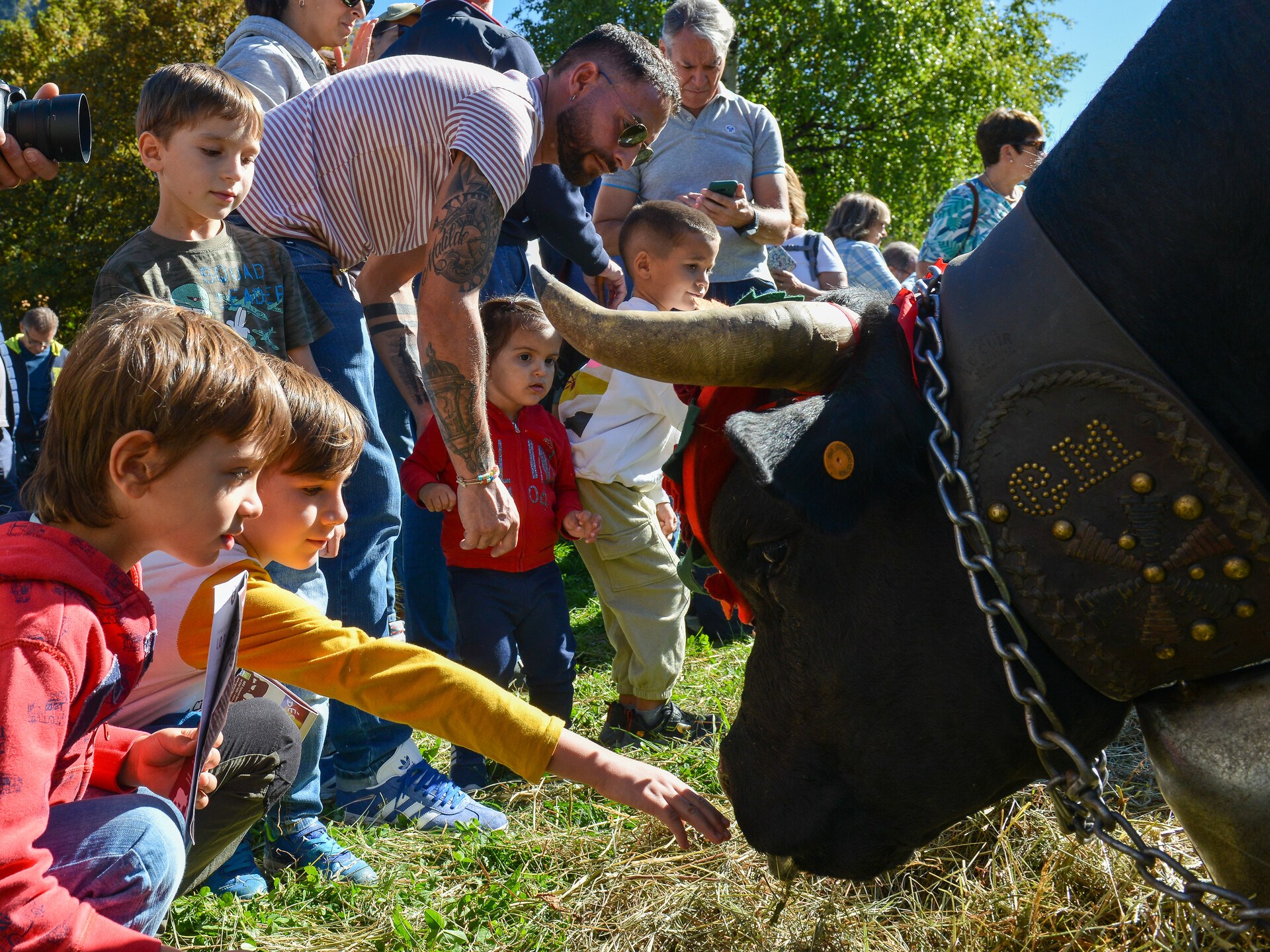 Educational farms