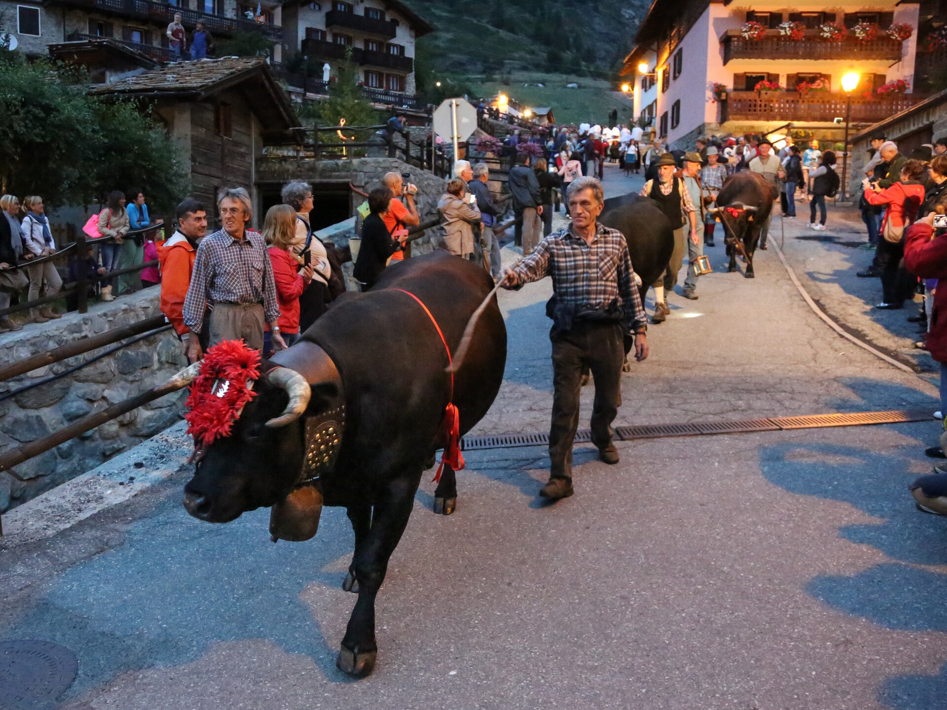 Cows and queens
