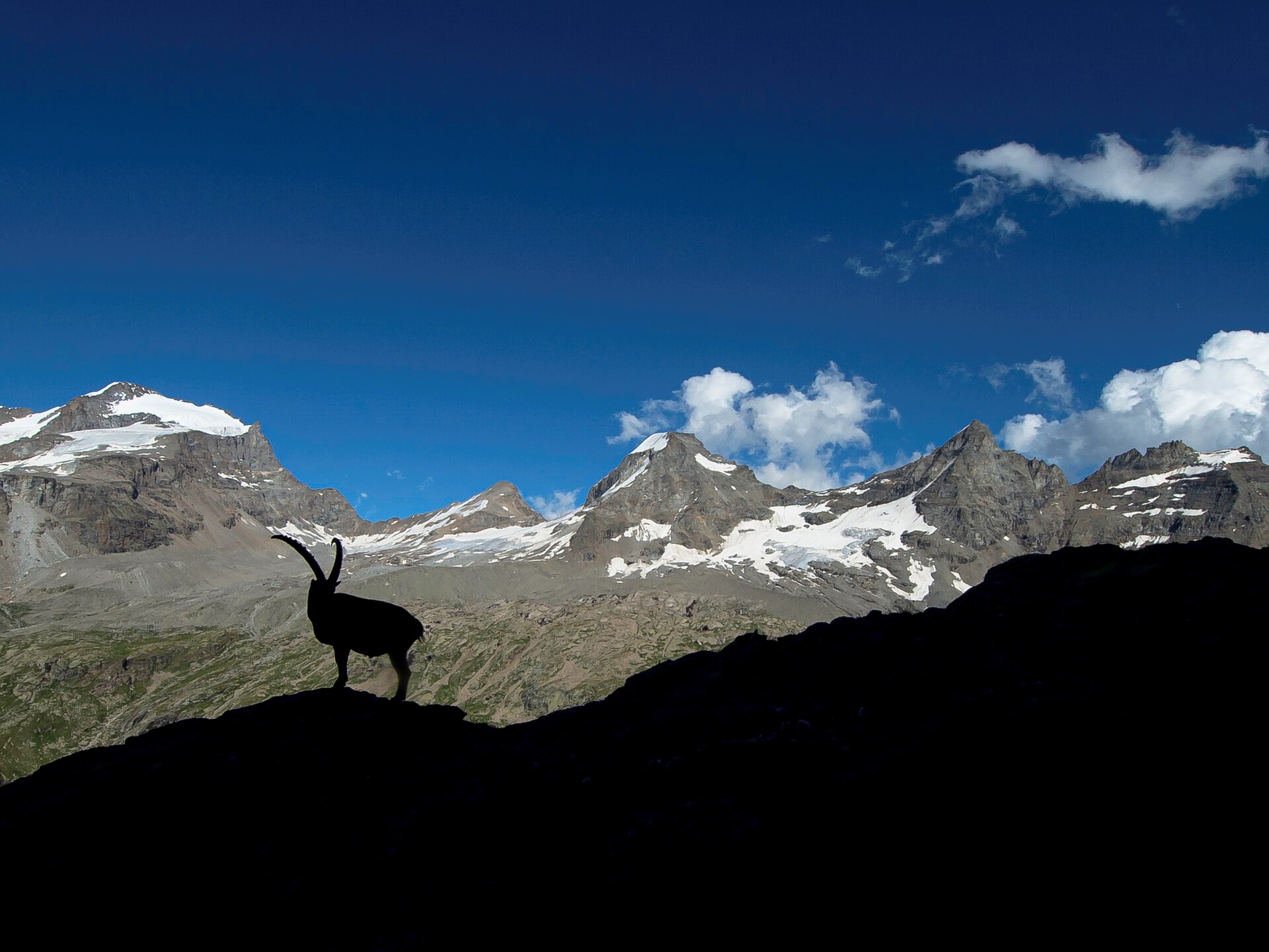 Gran Paradiso