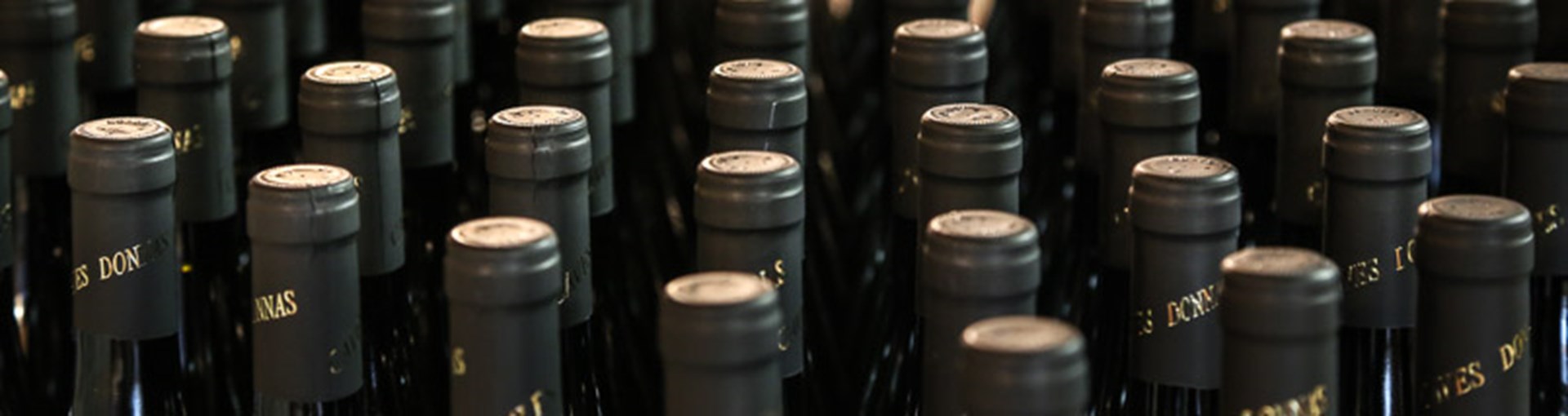 Muestra de vinos