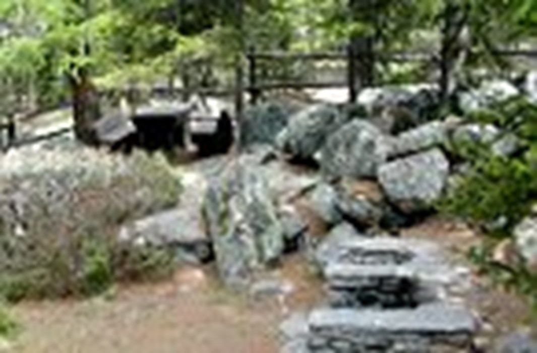 Area pic nic 