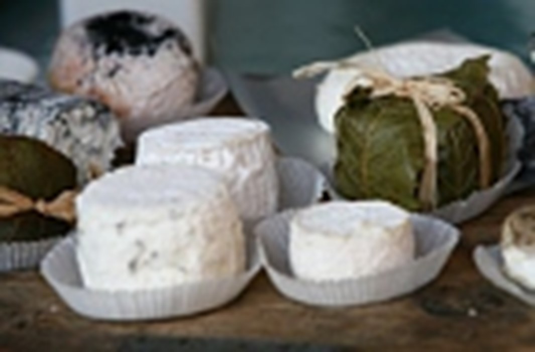 Visitare un'azienda agricola casearia