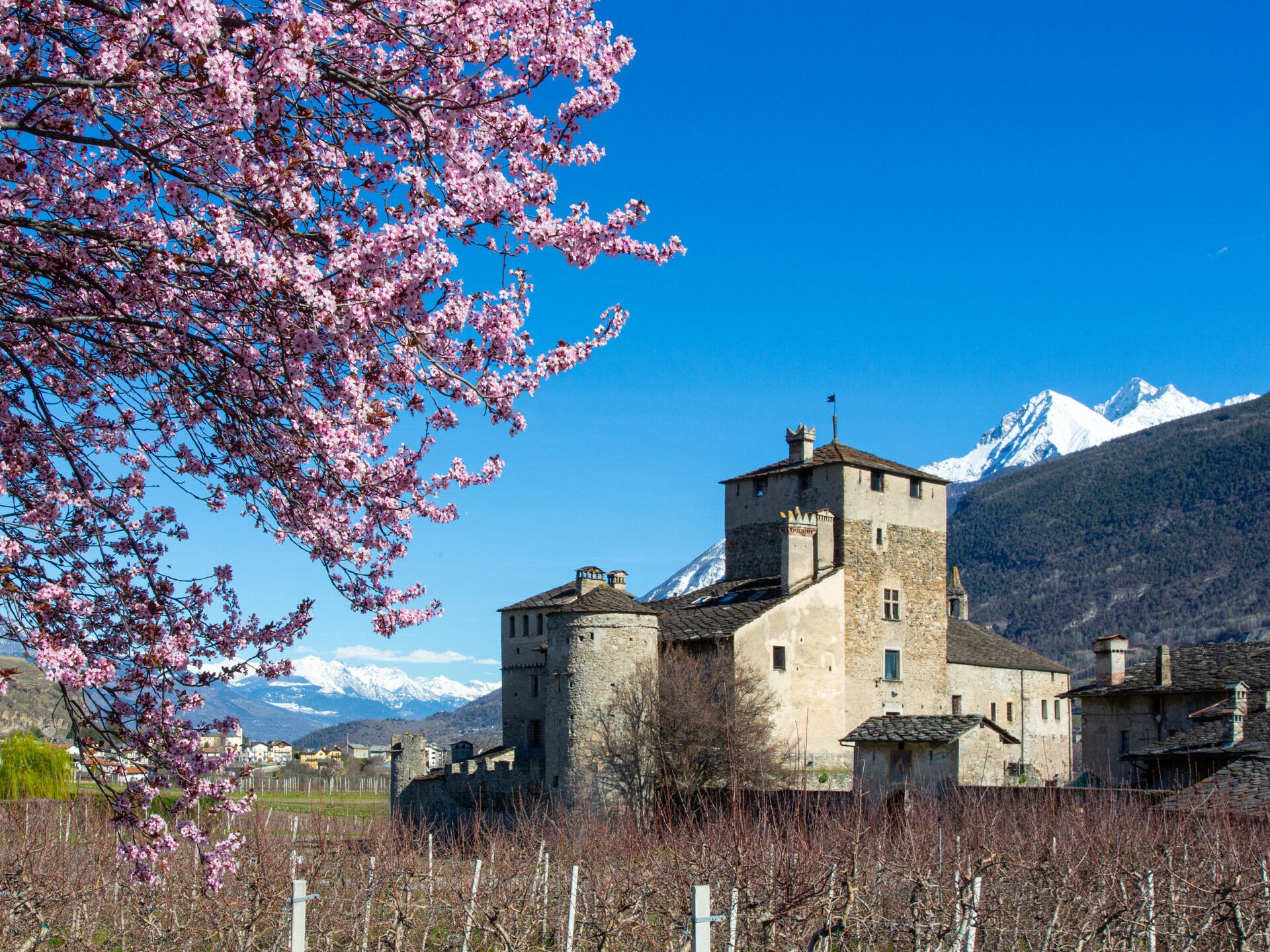 Castello Sarriod de la Tour