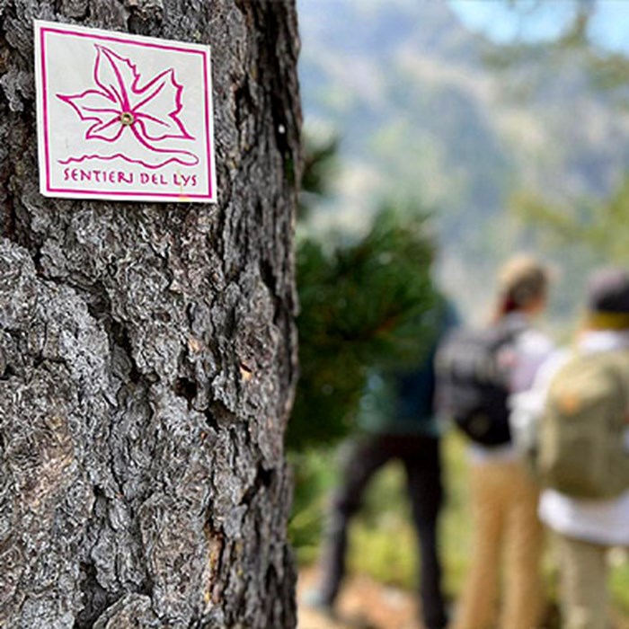 Sentieri del Lys