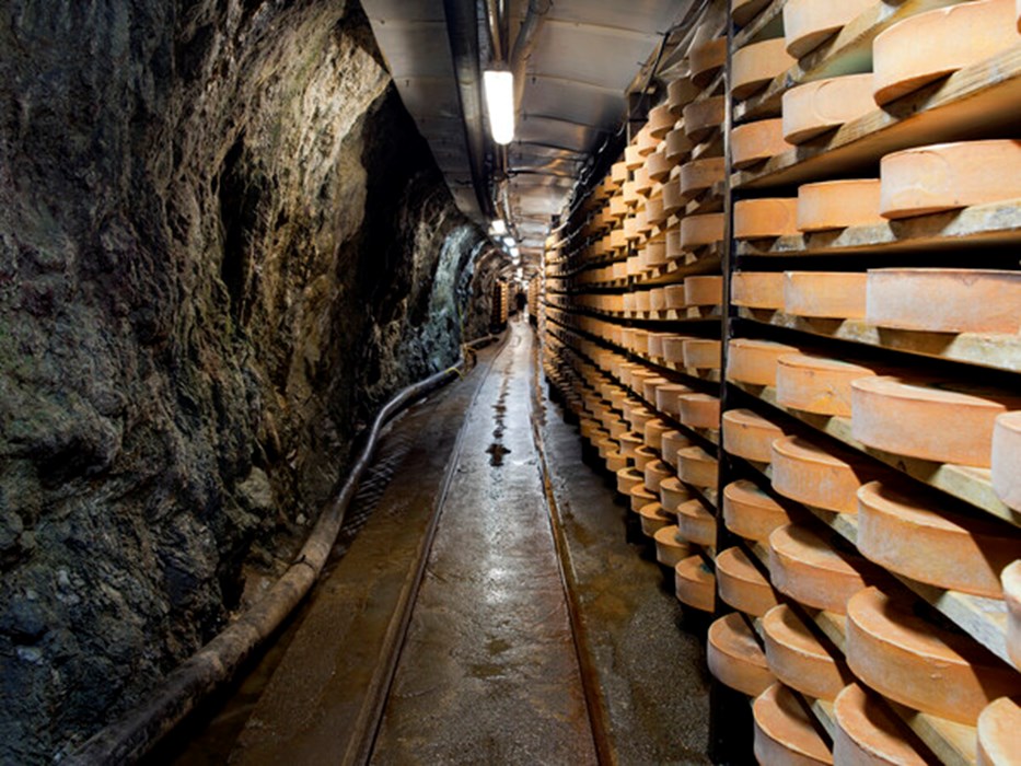 La Fontina di Valpelline