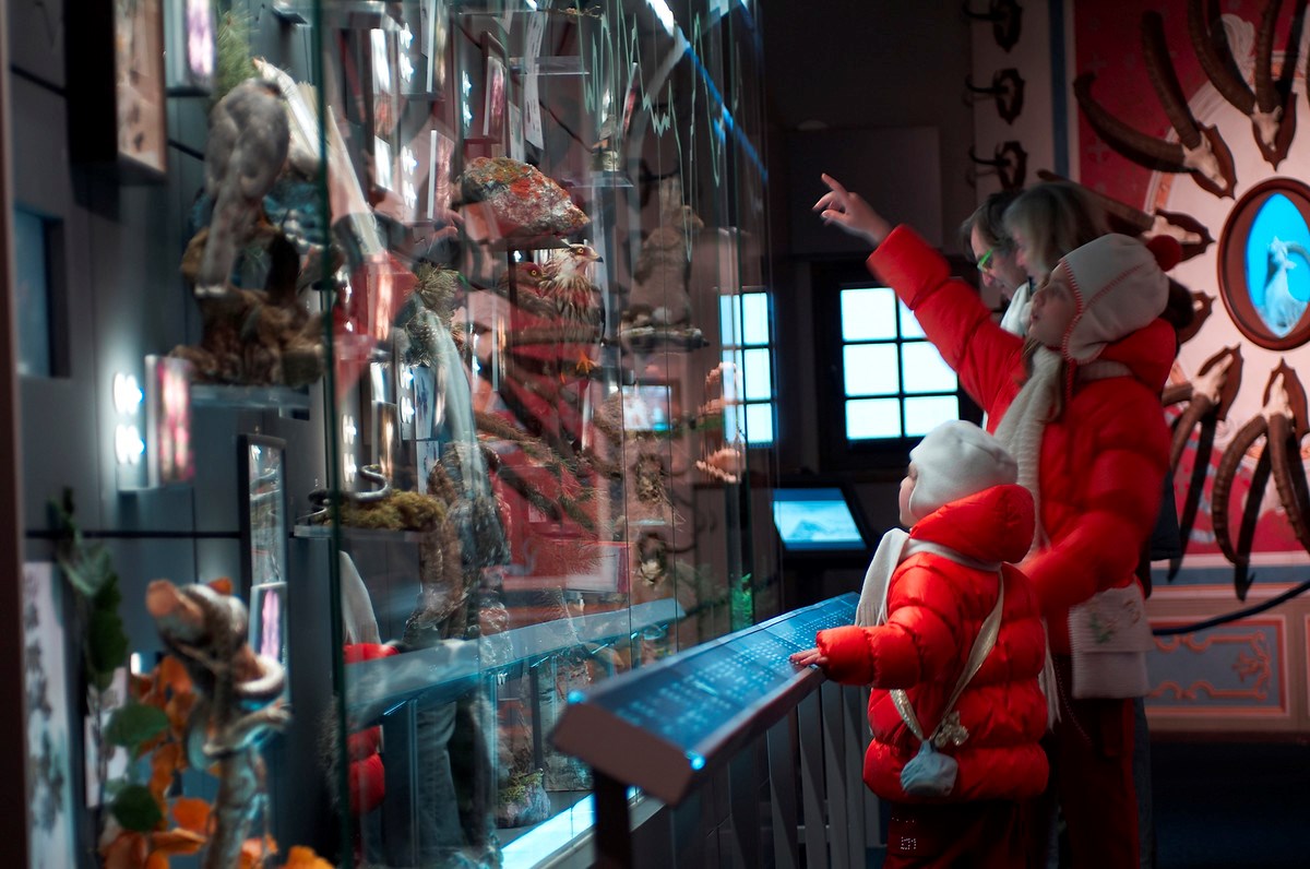 Kultur: Museen und Traditionen