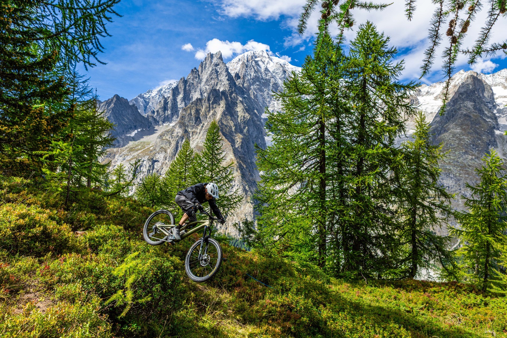 Road cycling and mountain biking