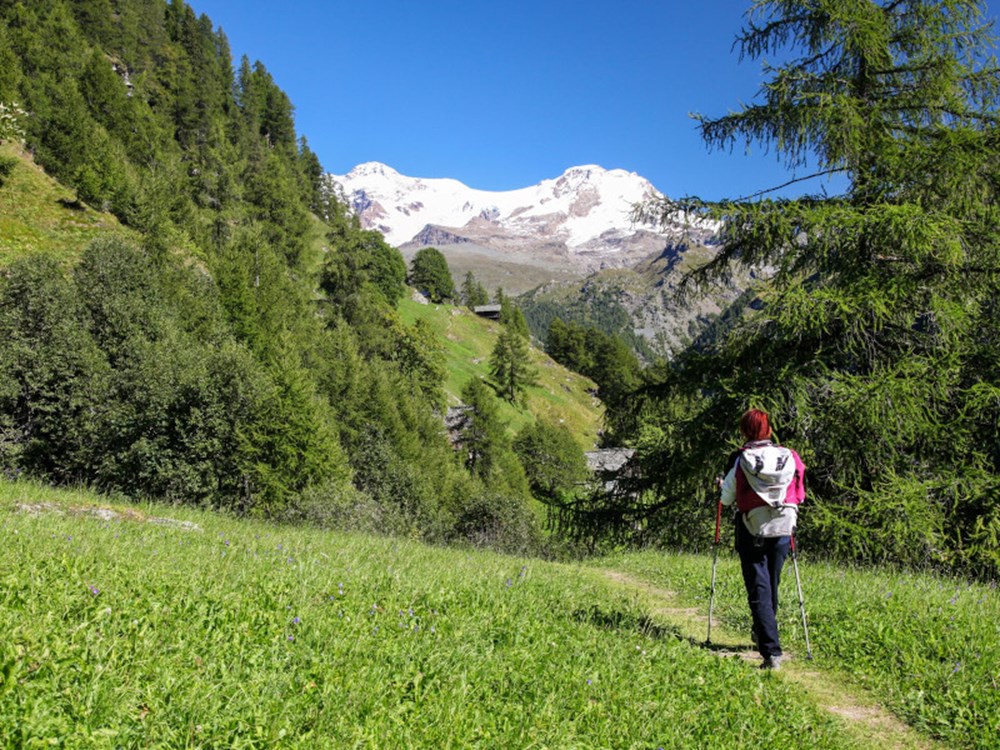 Trek-Bus Matterhorn-Monte Rosa