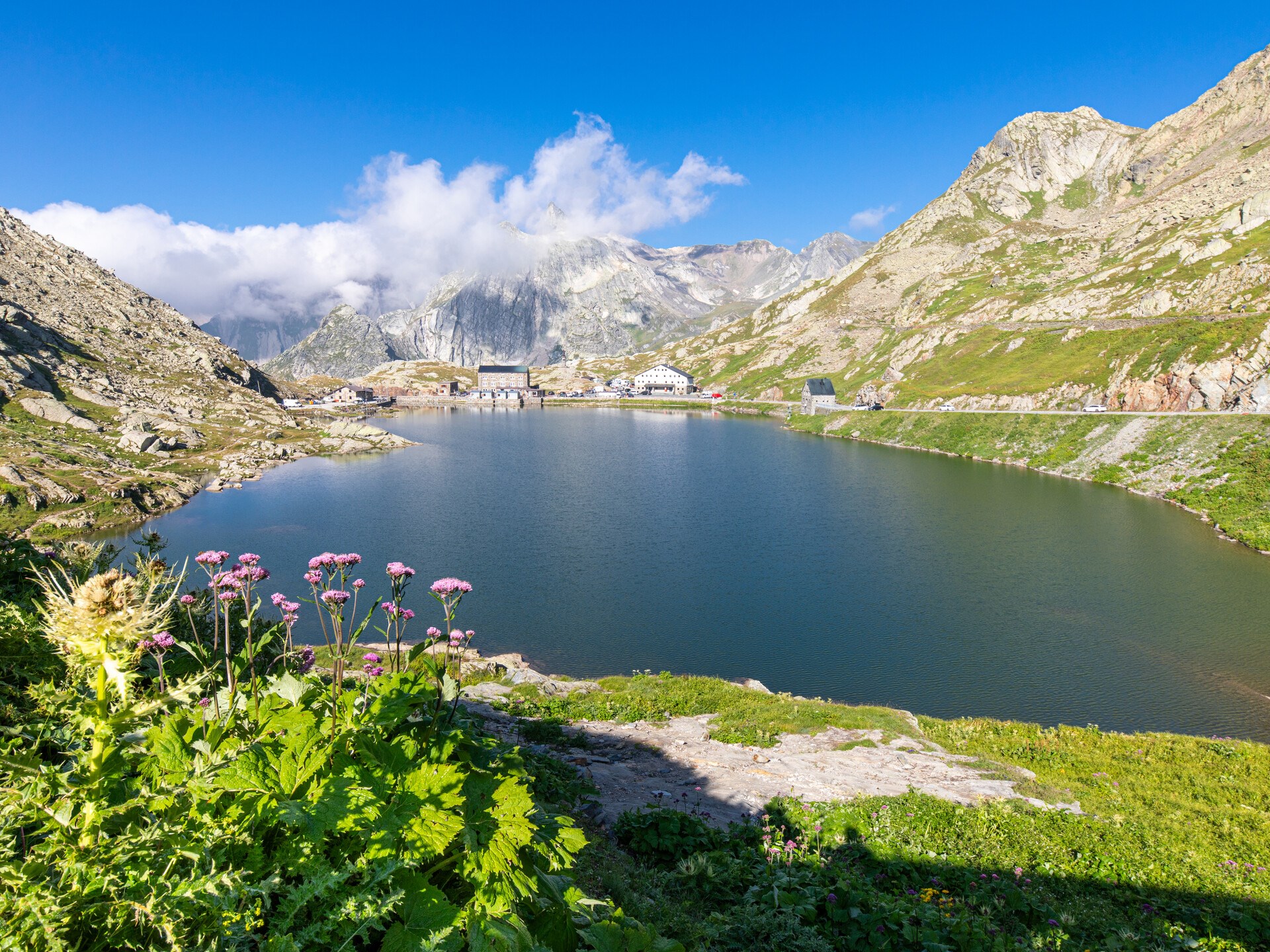 Verso l’alto, nella luce dell’estate 