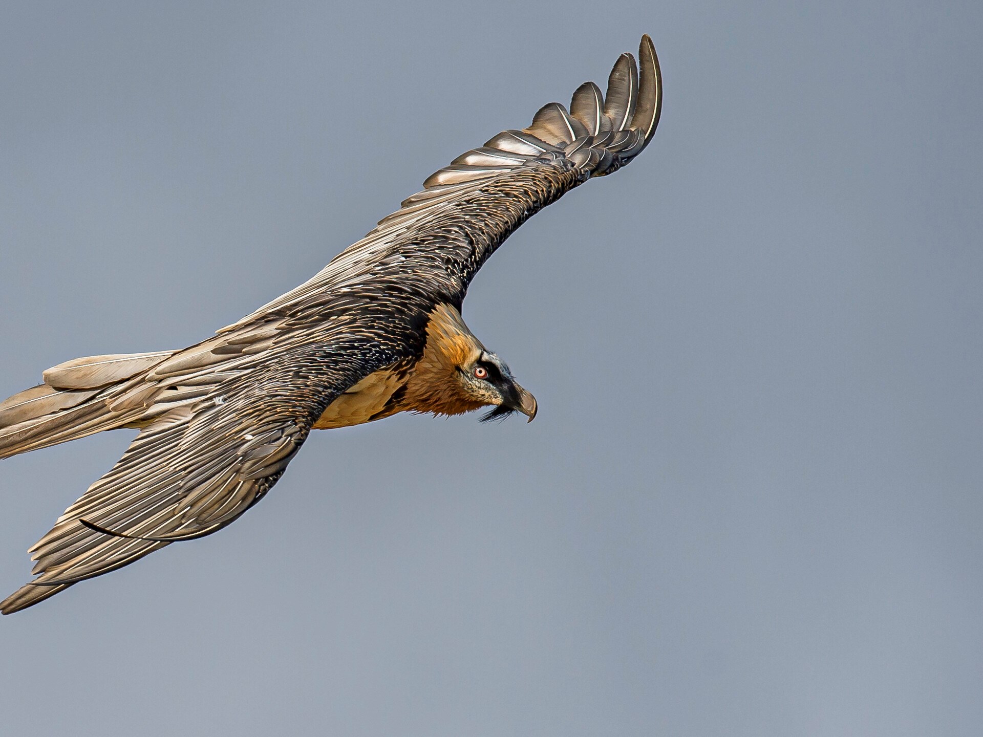 Prohibiciones en Valnontey