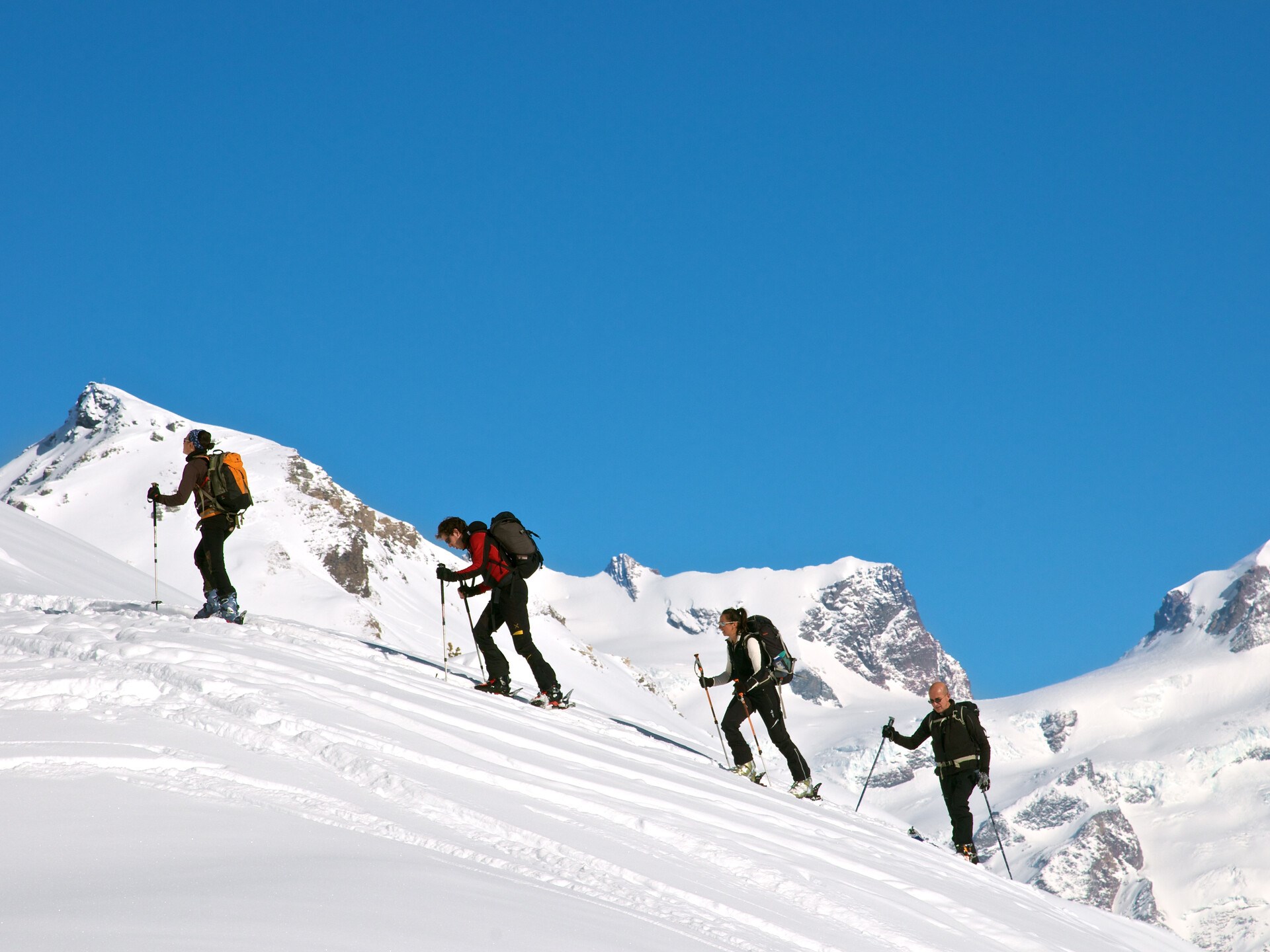 Monte Rosa: uphill slopes for skimo