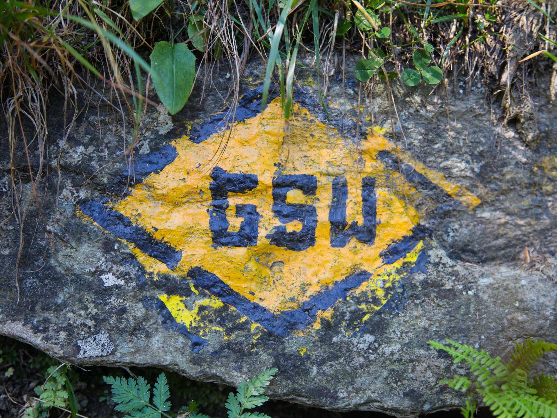 Le grand sentier Walser