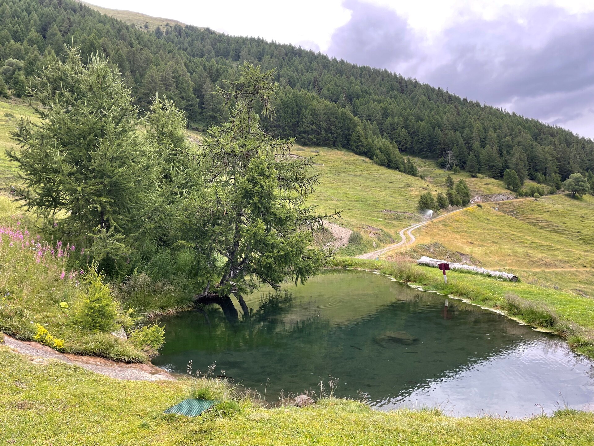 Tour du Mont-Fallère
