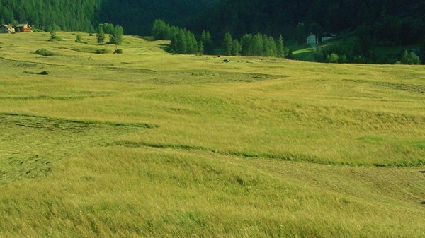 Playground for children in Cogne
