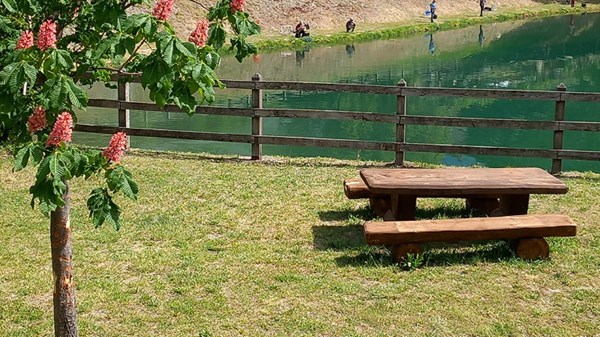 Area picnic Lago Bertina