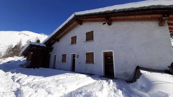 La bella racchettata nel bosco - CANCELLED