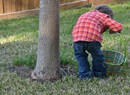 Caccia al tesoro di Pasqua