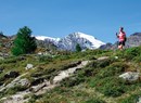Col du Mont- Its fortifications