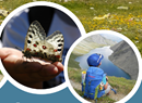 C’era una volta: storie in cammino tra natura e divertimento