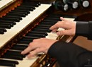 Le cento dita dell'Organista