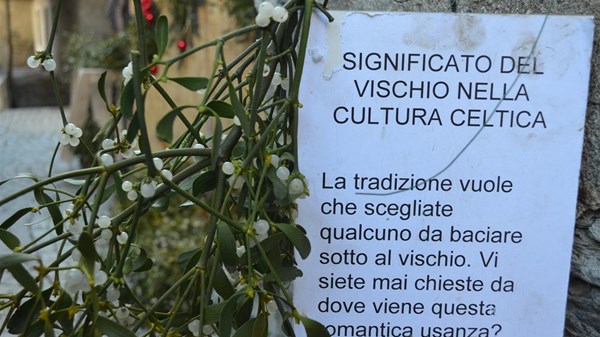 Mistletoe Festival
