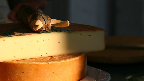 Festa della Fontina