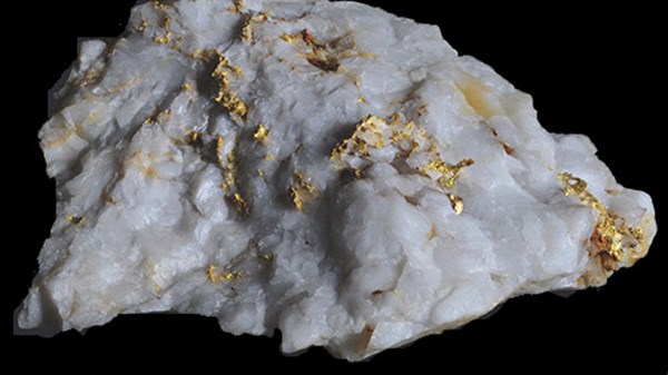 Minerals and fossils exchange