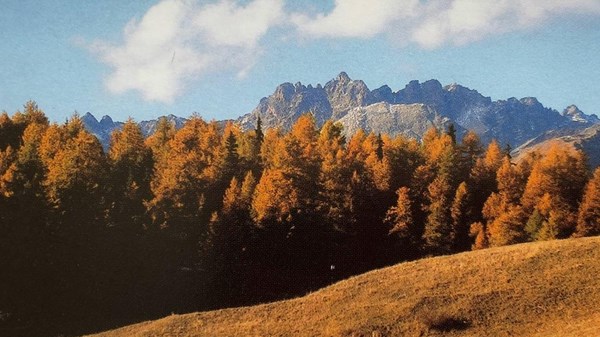 Présentation du calendrier 2026