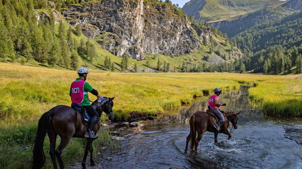 Equestrian event - International Endurance Race