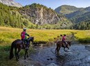 Evénement équestre - Compétition de Endurance